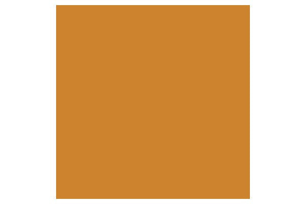 Promarker Raw Sienna O646